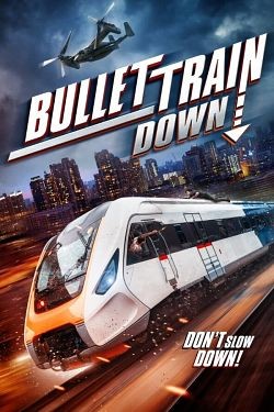 Bullet Train Down