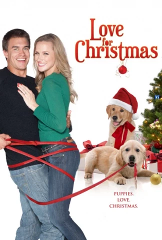 De l'amour pour Noël