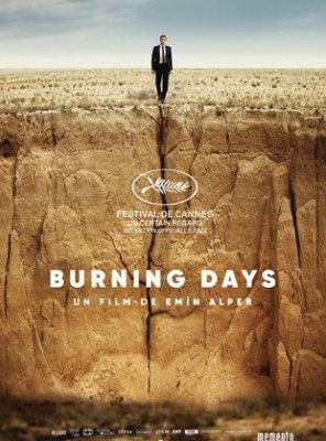 Burning Days