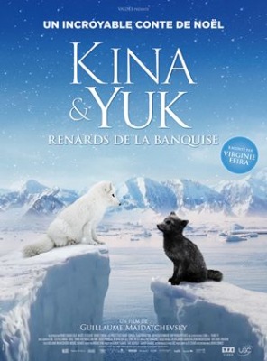 Kina & Yuk : renards de la banquise