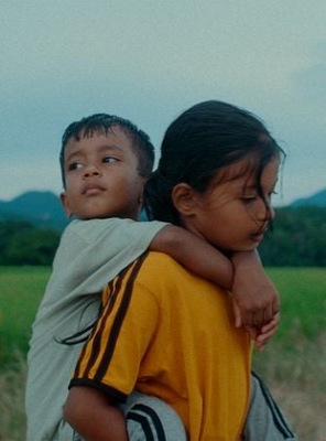 Les Fleurs du manguier