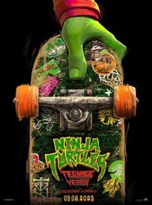 Ninja Turtles Teenage Years